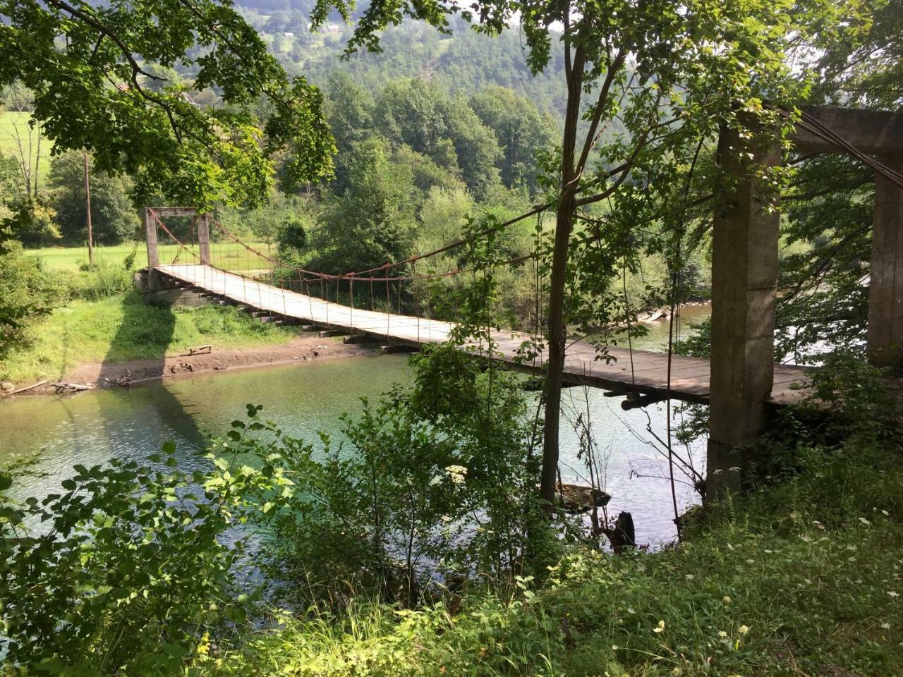 Taramour Cottages. Мойковац Екстер'єр фото