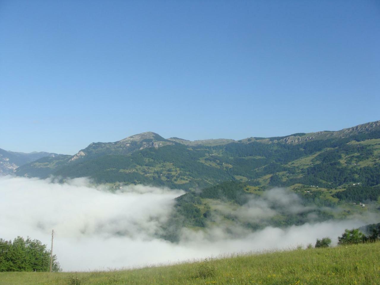Taramour Cottages. Мойковац Екстер'єр фото