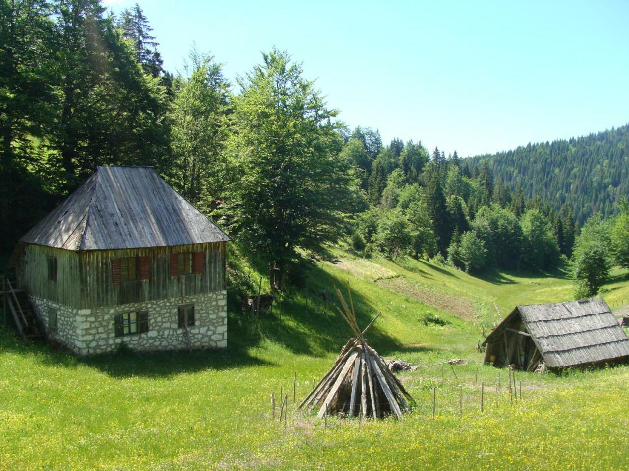Taramour Cottages. Мойковац Екстер'єр фото