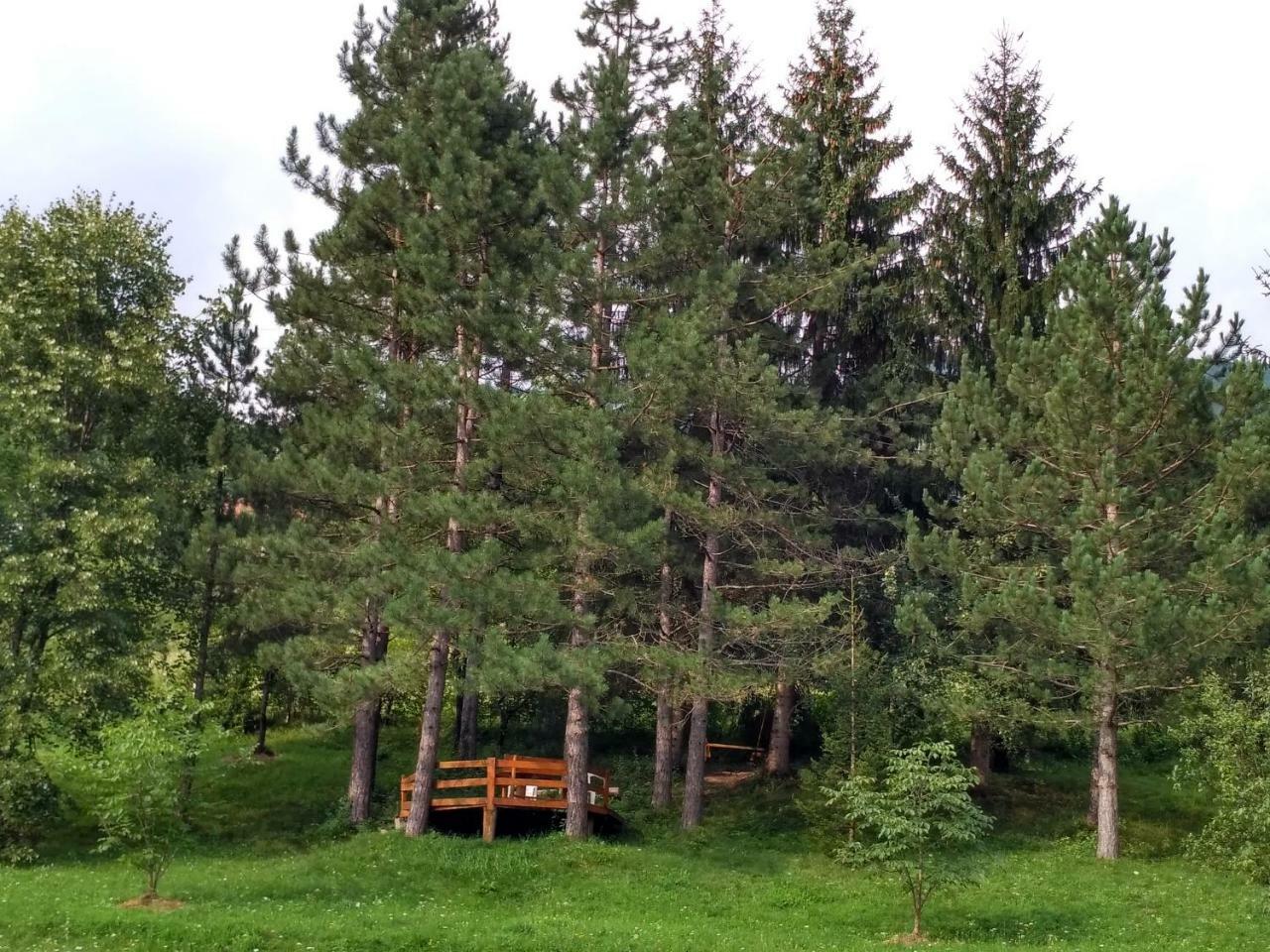 Taramour Cottages. Мойковац Екстер'єр фото