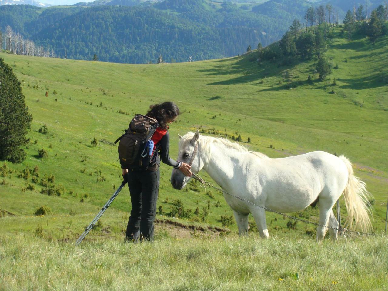Taramour Cottages. Мойковац Екстер'єр фото
