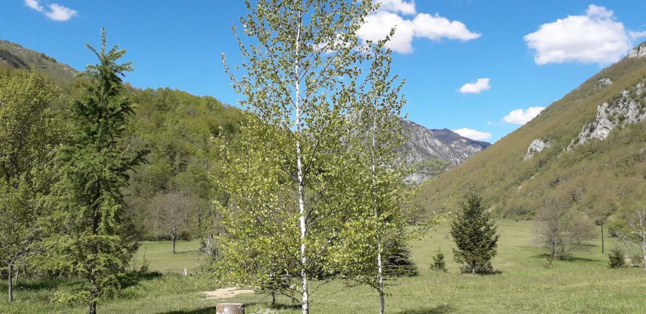 Taramour Cottages. Мойковац Екстер'єр фото